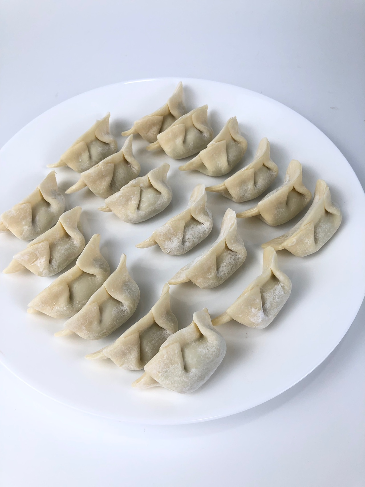 A photo of some 饺子 jiǎozi.